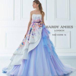 hardy クリアランス amies ドレス 袖a